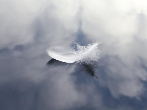 10 Motivi Per Cui Vedi Spesso I Segni Degli Angeli