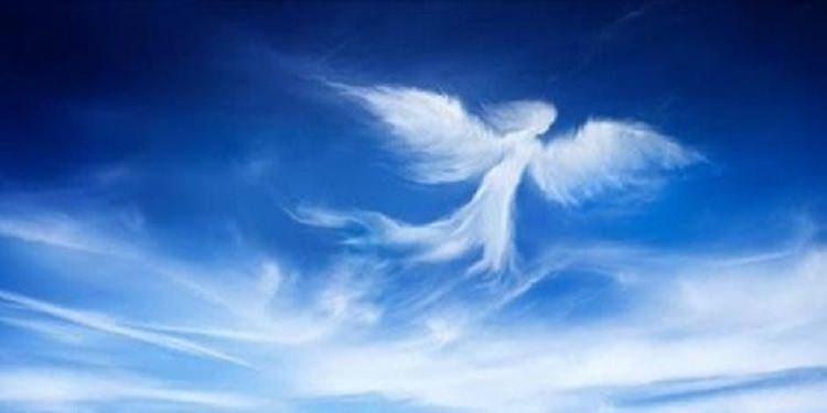 capire i messaggi degli angeli capire i messaggi degli angeli